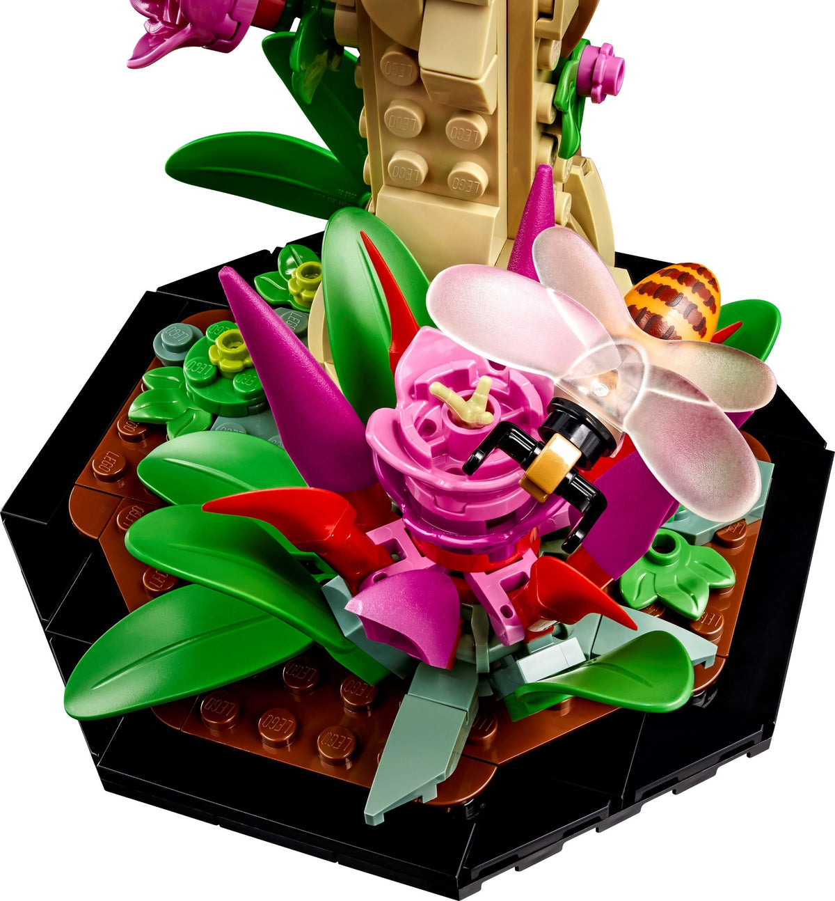 LEGO® Ideas 21342 Die Insekten-Sammlung