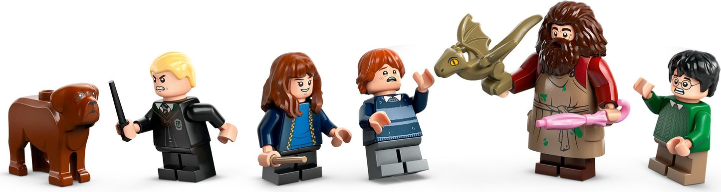 LEGO® Harry Potter™ 76428 Hagrids Hütte: Ein unerwarteter Besuch
