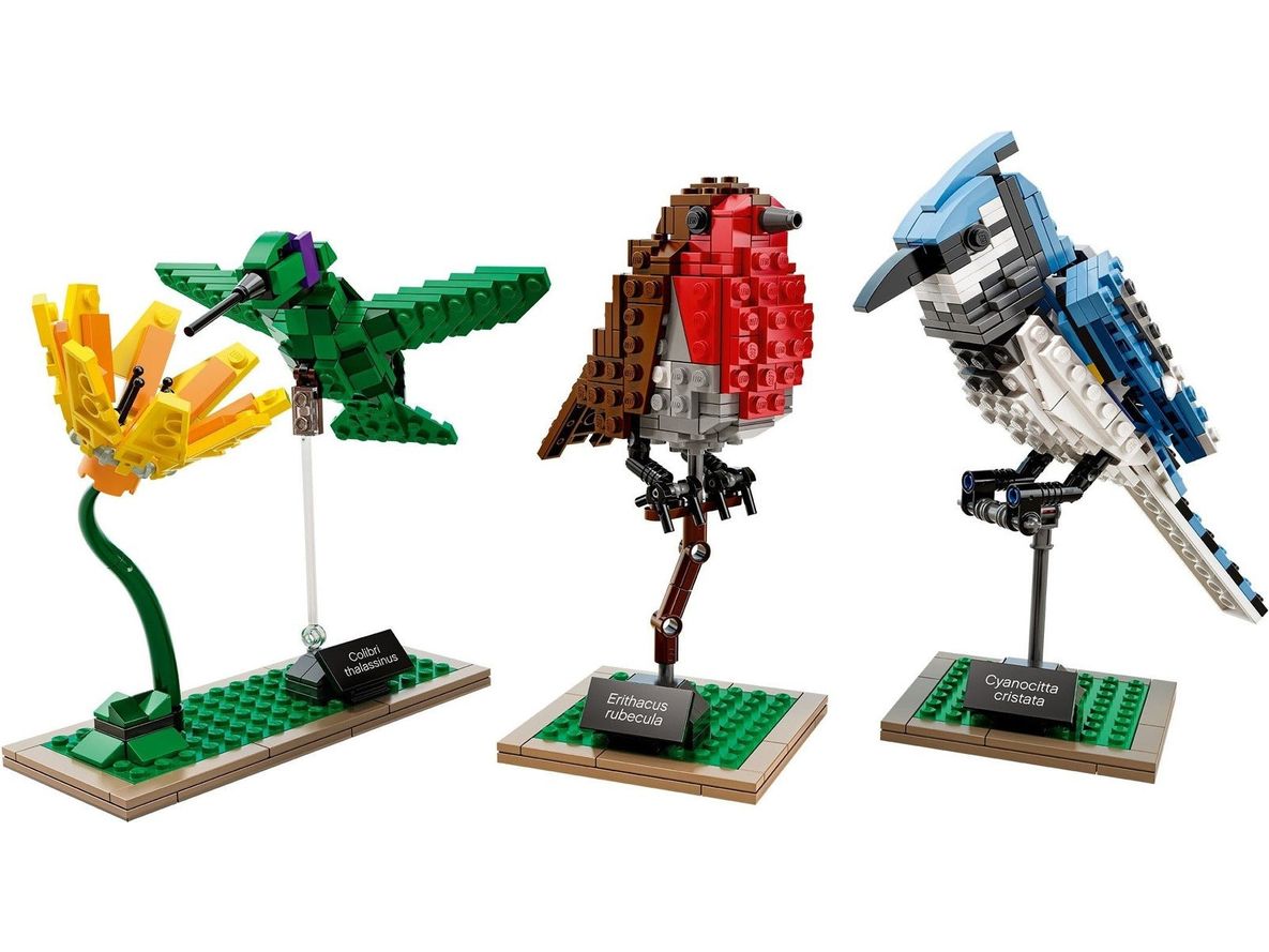 LEGO® Ideas 21301 Vögel