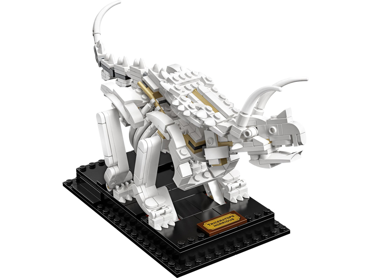 LEGO® Ideas 21320 Dinosaurier-Fossilien