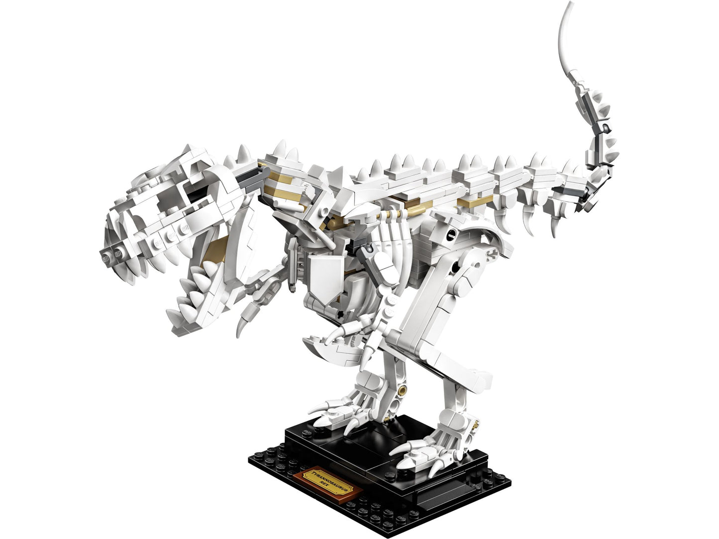 LEGO® Ideas 21320 Dinosaurier-Fossilien