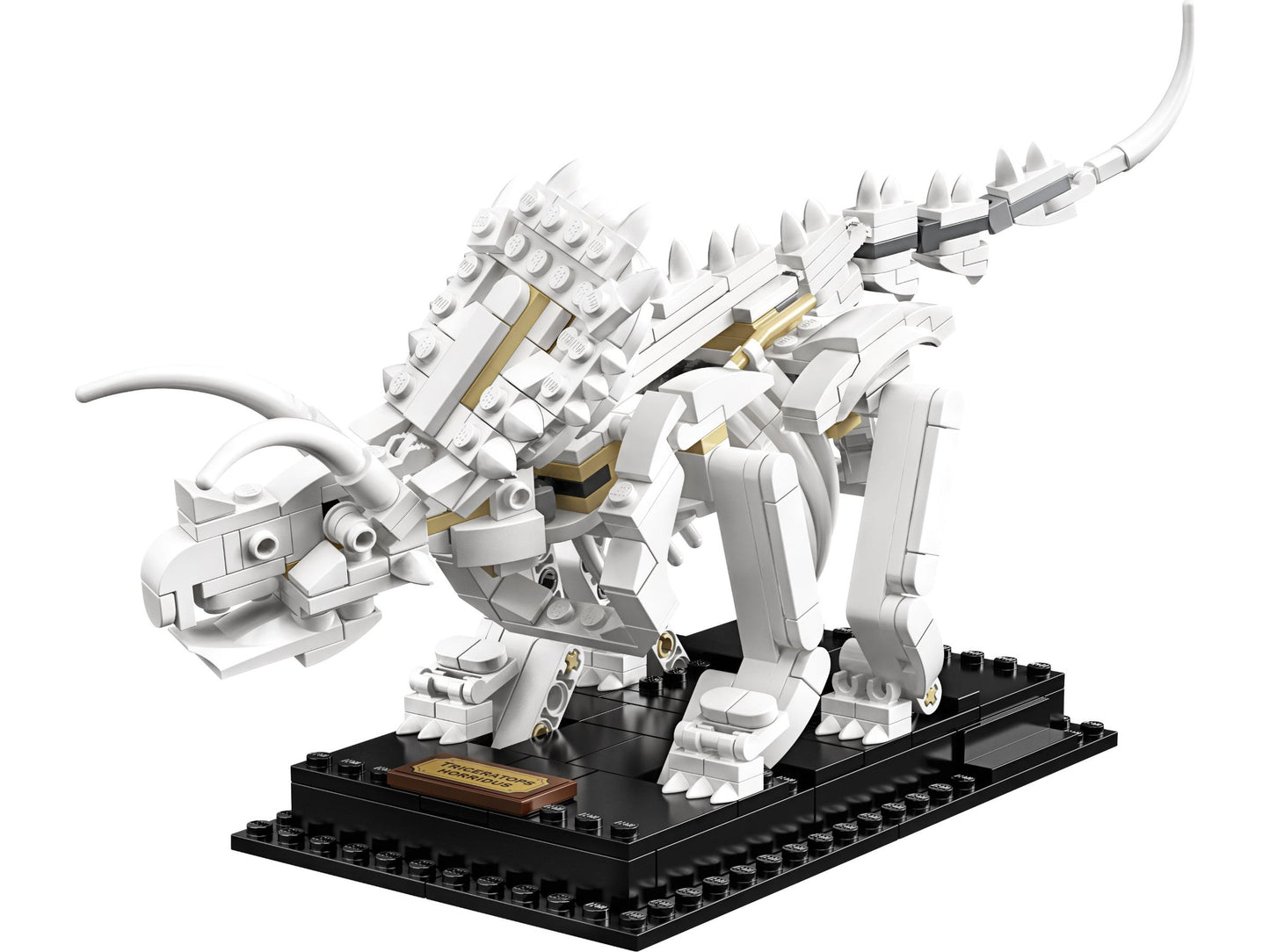 LEGO® Ideas 21320 Dinosaurier-Fossilien