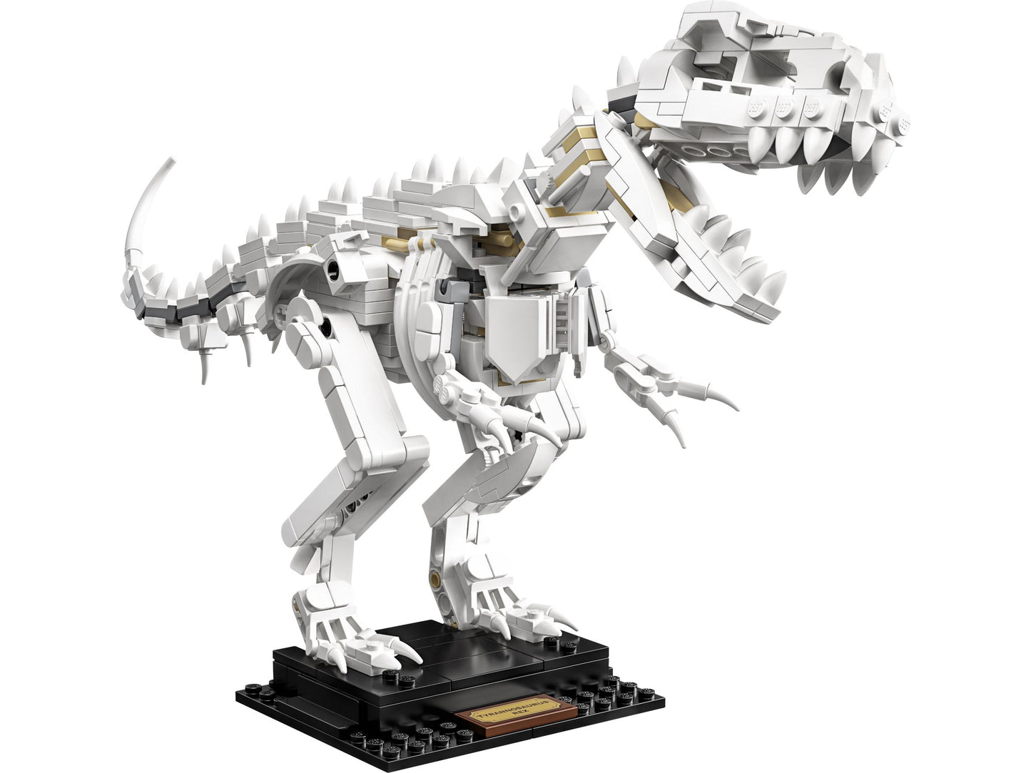 LEGO® Ideas 21320 Dinosaurier-Fossilien