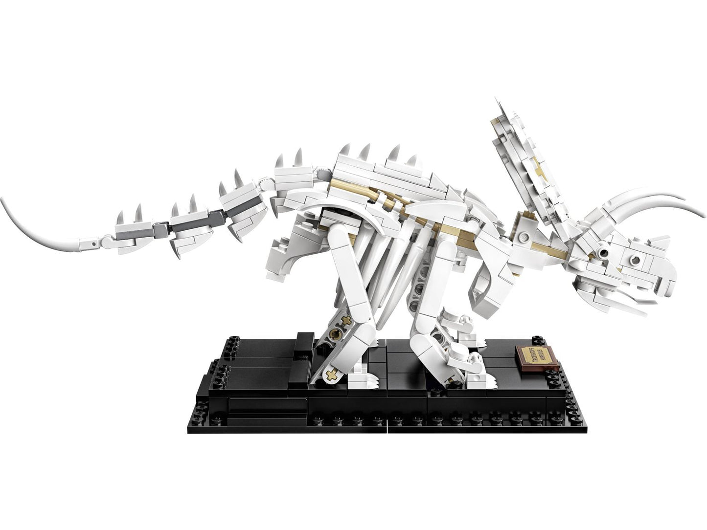 LEGO® Ideas 21320 Dinosaurier-Fossilien