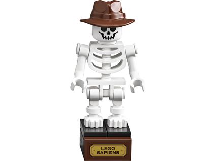 LEGO® Ideas 21320 Dinosaurier-Fossilien